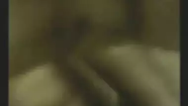 Doggy on Webcam