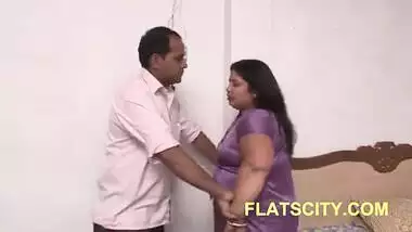 Tamil Aunty Trapped by Electrician